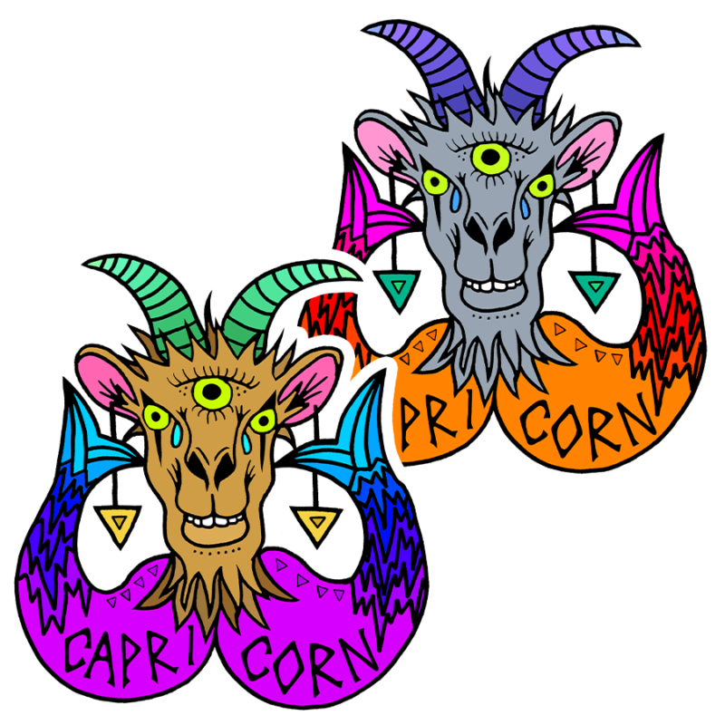 CAPRICORN ASTROLOGY STICKERS