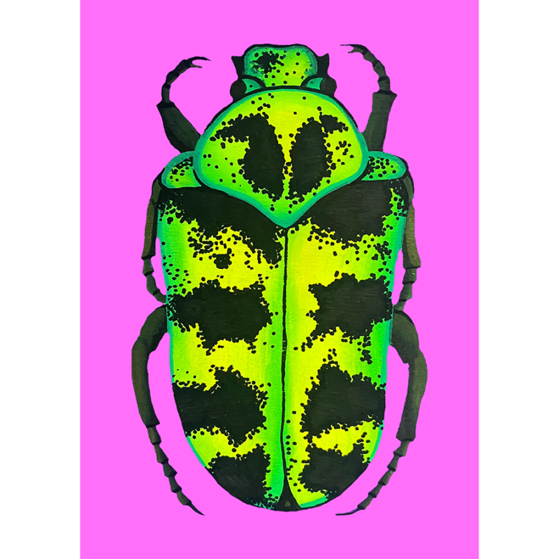 FLOWER CHAFER
