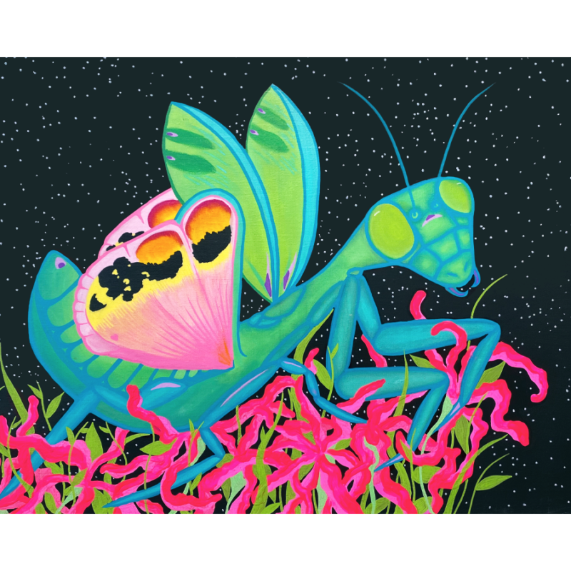 NIGHT MANTIS