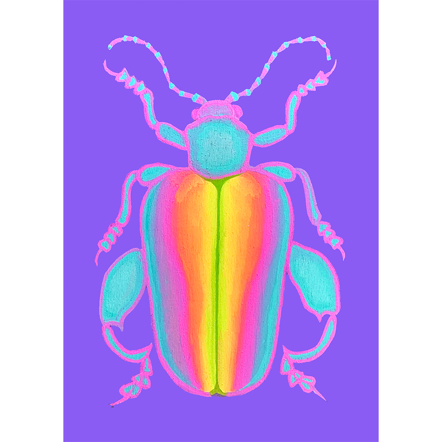 FROG BEETLE